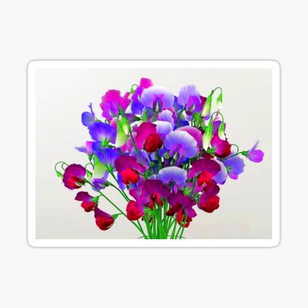 Sweet Pea Sticker