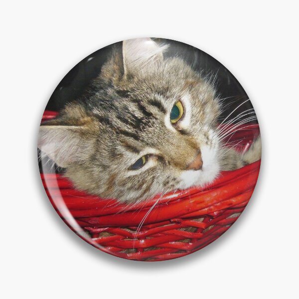 Item preview, Kitten in a Basket designed and sold by Frankie Cat Photography.