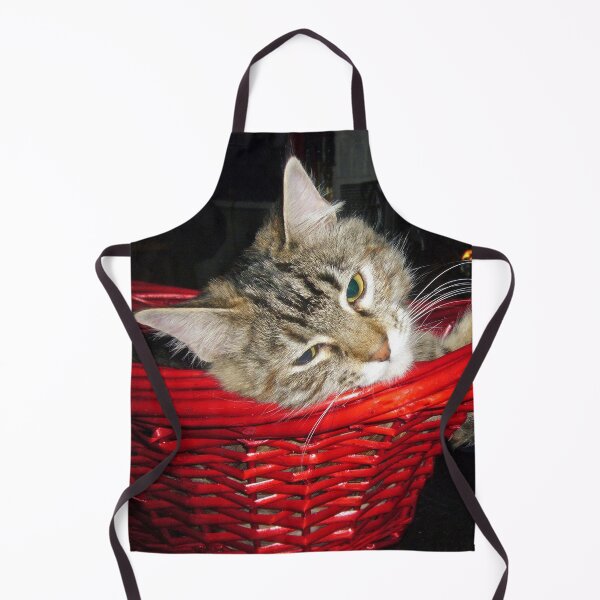 Item preview, Kitten in a Basket designed and sold by Frankie Cat Photography.