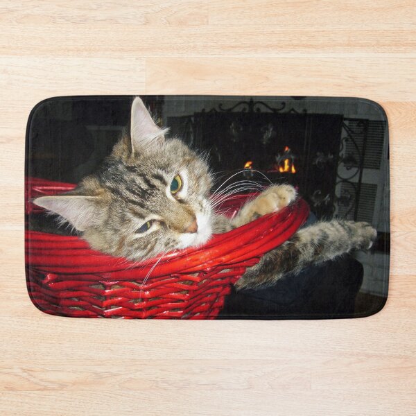 Artikelvorschau, Kätzchen in einem Korb entworfen und verkauft von Frankie Cat Photography.