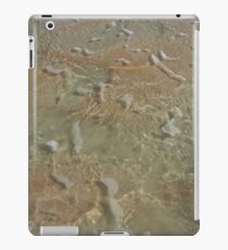 Mingle iPad Case/Skin