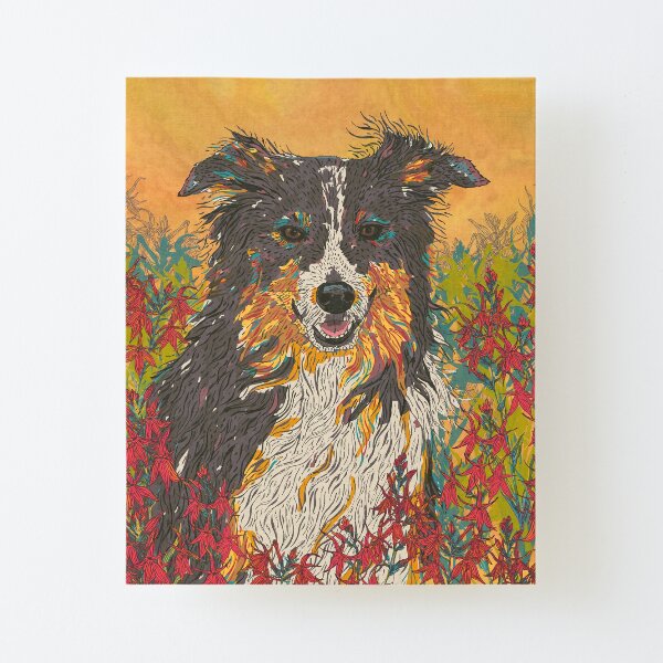 Border Collie Canvas Mounted Print