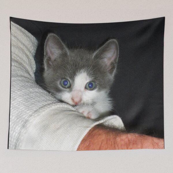 Item preview, Sweet Baby Charlie designed and sold by Frankie Cat Photography.