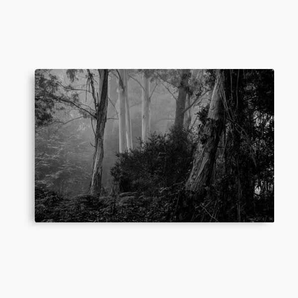 Item preview, Textures 3  - Mount Wilson - NSW  - The HDR Experience designed and sold by Salieri1627.