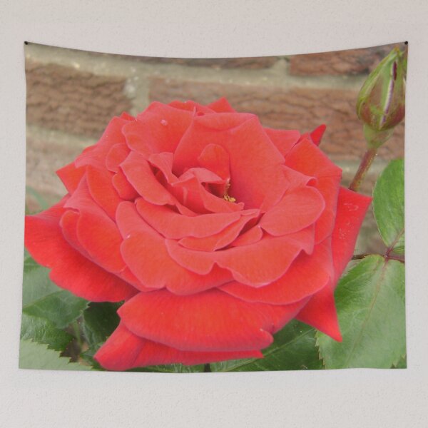 Item preview, Red Rose designed and sold by Sweetairhead.