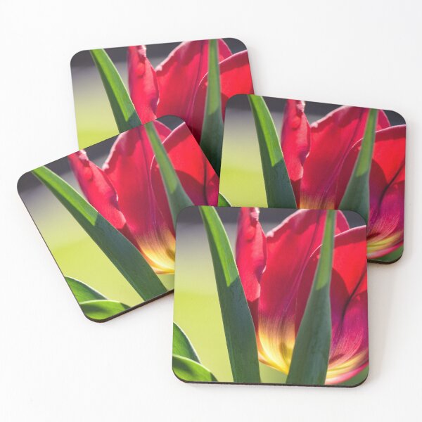 Item preview, Spring Tulip designed and sold by Angela Adams.