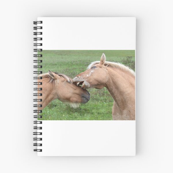 Artikelvorschau, Fjord horses entworfen und verkauft von James Cumming.