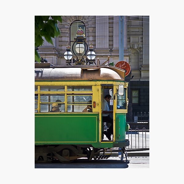 W Class – afternoon nap Photographic Print