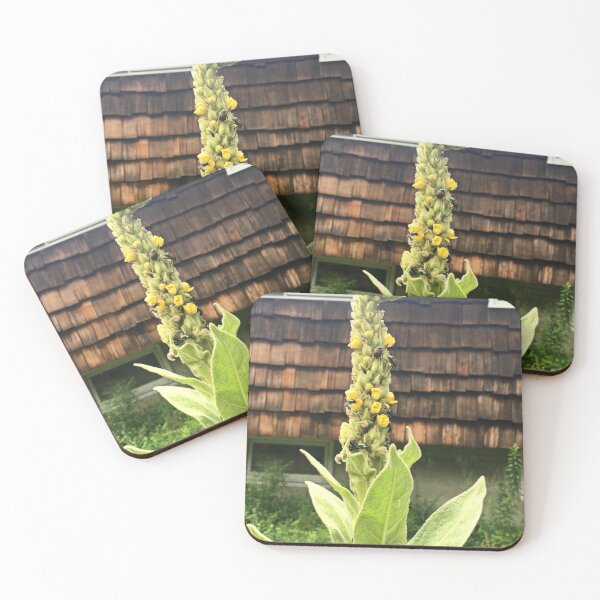 Item preview, Japanese Beetles on Mullein, 2020 designed and sold by Stephanie Fay.