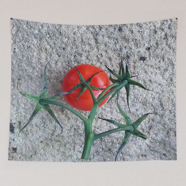 Item preview, Ripe Red Tomato and Stems designed and sold by Anna Lemos.