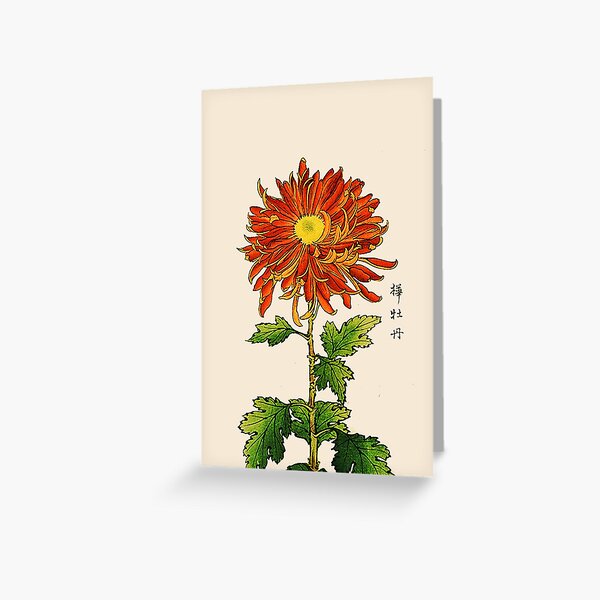 Item preview, Japanese Chrysanthemum. Orange and Gold   designed and sold by Marymarice.