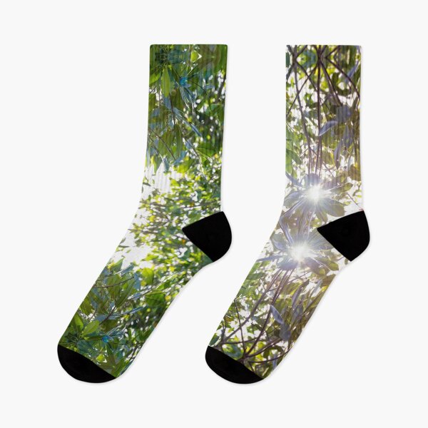 Item preview, Sun Flare Through Mangrove Leaves designed and sold by Caitlin Chock.