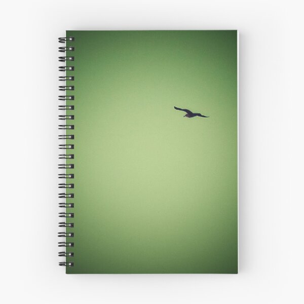 Item preview, Gull in Flight 3 designed and sold by brunoanjoloart.