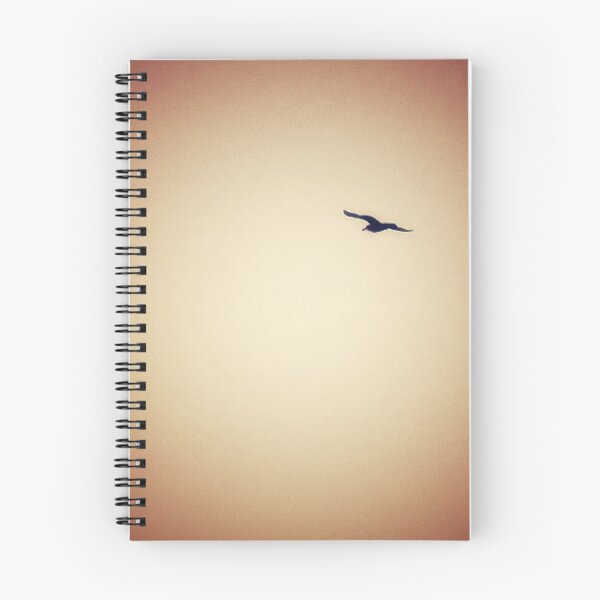 Item preview, Gull in Flight 4 designed and sold by brunoanjoloart.