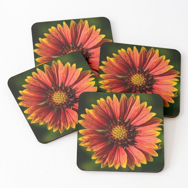 Item preview, Gaillardia Daisy designed and sold by Angela Adams.