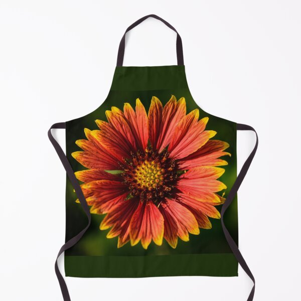 Item preview, Gaillardia Daisy designed and sold by Angela Adams.
