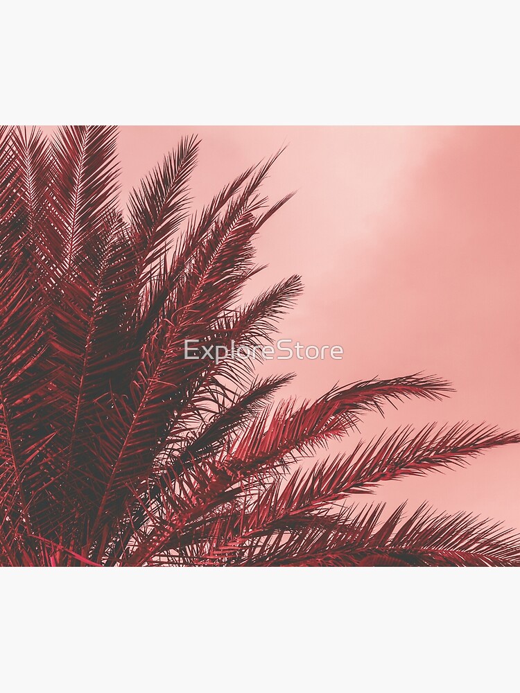 "Palm leaves with Pink effect" Poster by ExploreStore Redbubble