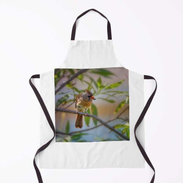 Item preview, Cardinal designed and sold by PhotoArt by Joan Carroll.