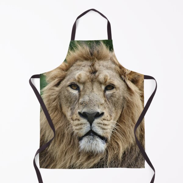 Item preview, Leo Stare designed and sold by Yampimon.