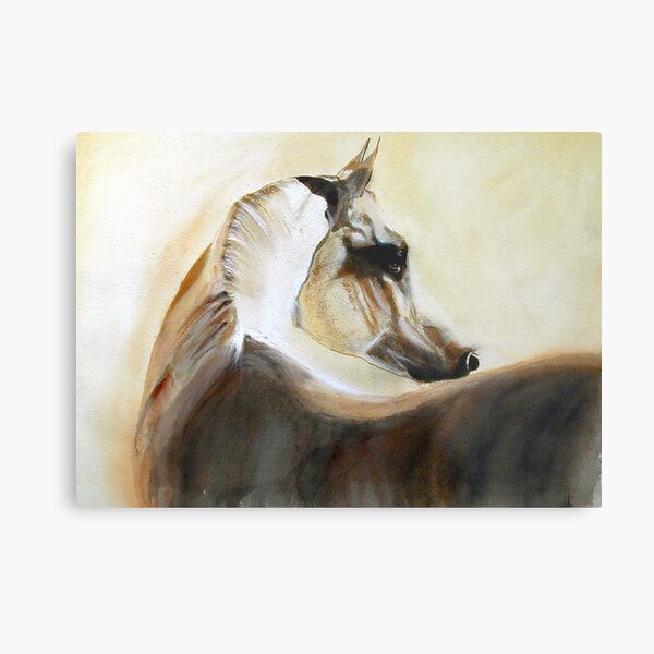 Mystical Arabian Metal Print