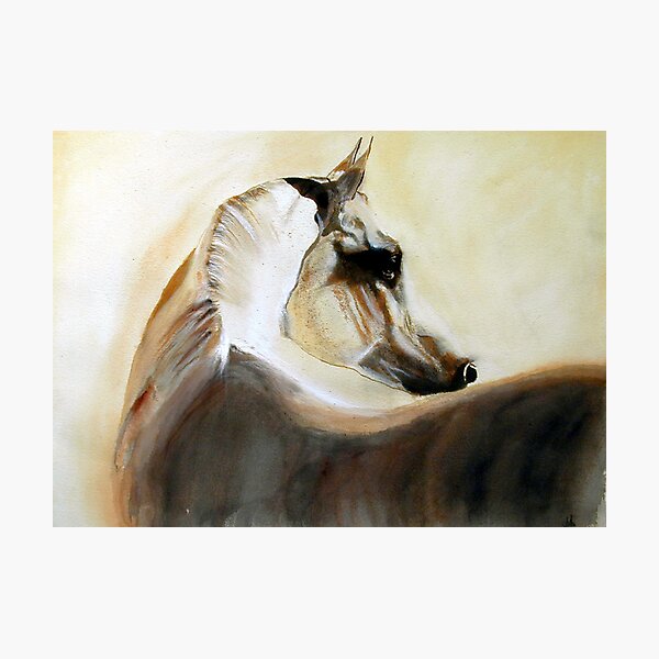 Mystical Arabian Photographic Print