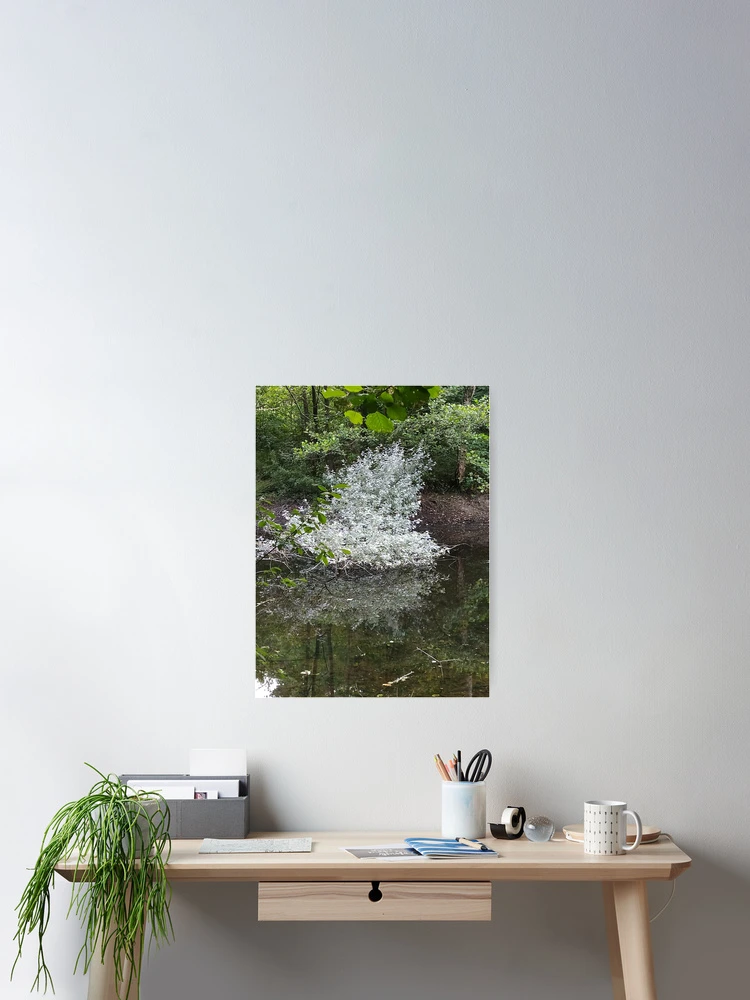 Thumbnail 2 of 3, Poster, Fallen tree designed and sold by CreativeWorld96.
