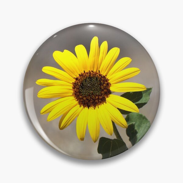 Item preview, Eastern Oregon Yellow Flower Photograph designed and sold by Bumblefuzzies.