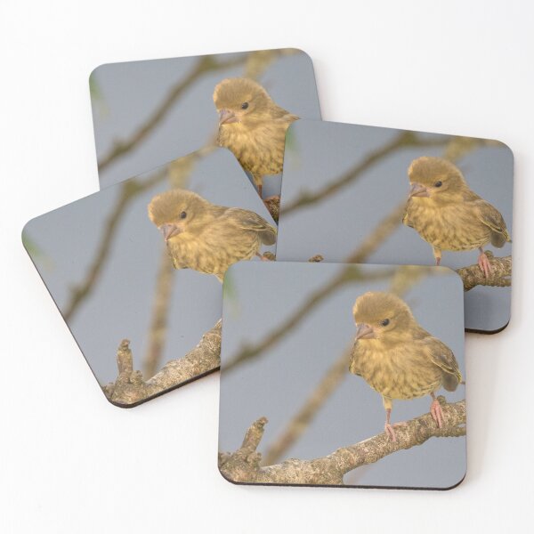 Item preview, Greenfinch designed and sold by LaurenTucker.