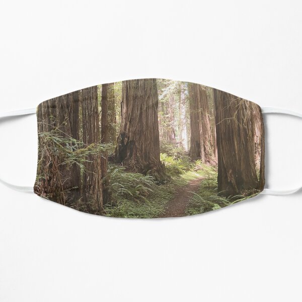 Redwood Tree Forest Nature Flat Mask