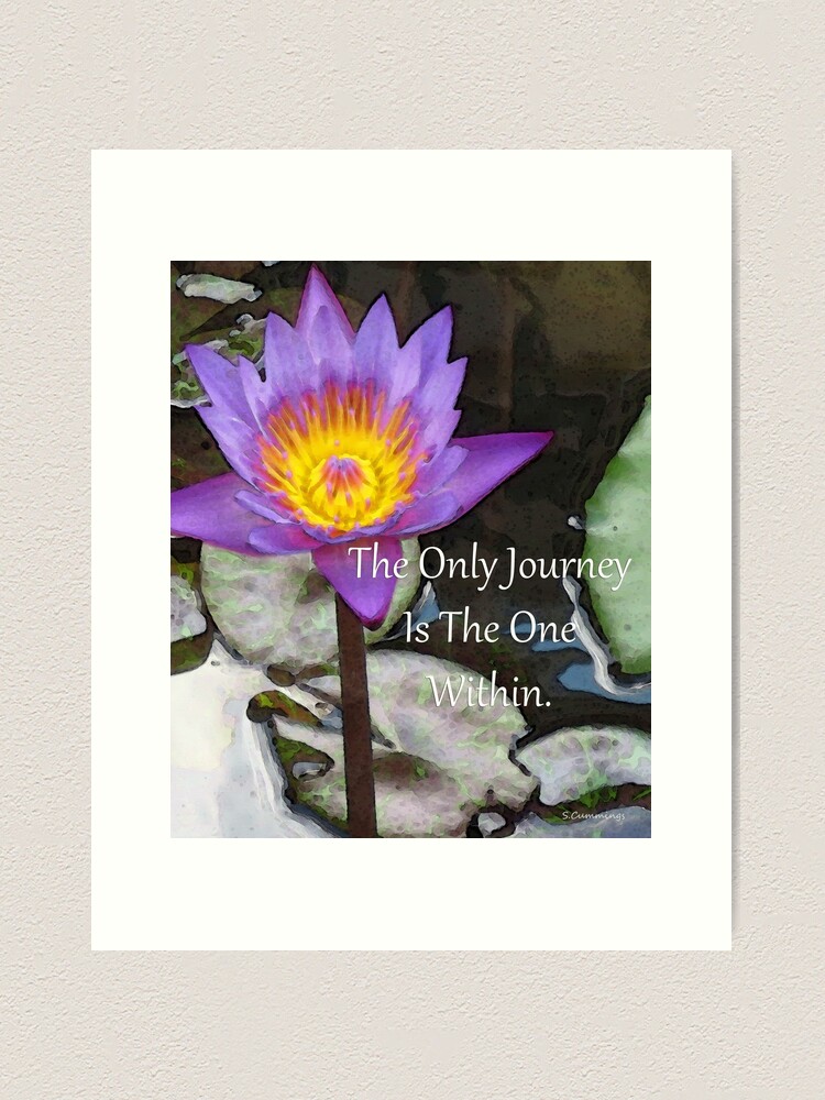 The Only Journey - Purple Lotus Flower Art - By Sharon Cummings Art Print  for Sale by Sharon Cummings