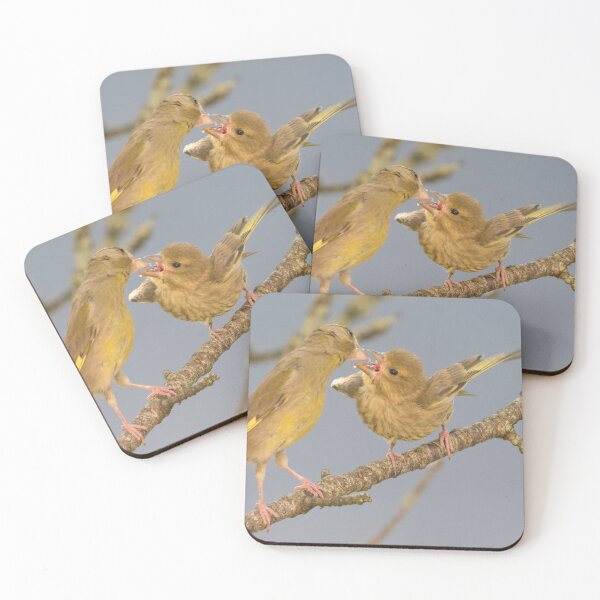 Item preview, Greenfinch designed and sold by LaurenTucker.
