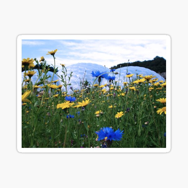 Eden Meadow Sticker