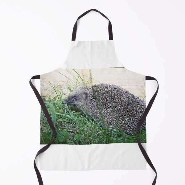 Item preview, Hedgehog designed and sold by LaurenTucker.