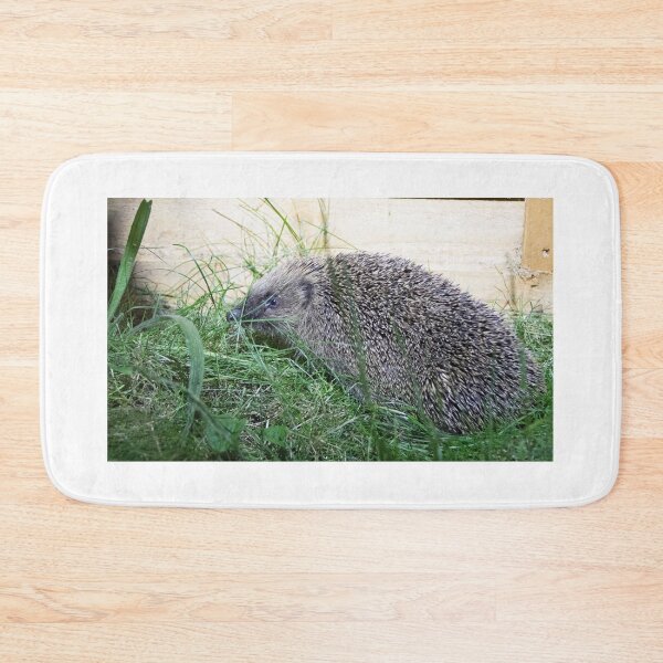 Item preview, Hedgehog designed and sold by LaurenTucker.
