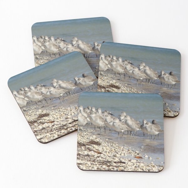 Item preview, A Flock of Willets designed and sold by AGODIPhoto.