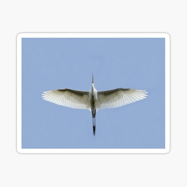 Item preview, Egret Flyover designed and sold by James Cumming.