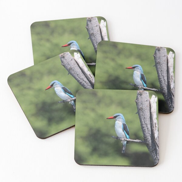 Item preview, Woodland Kingfisher  designed and sold by LensIntoAfrica.