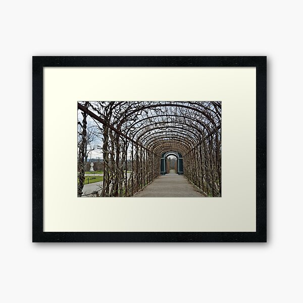 Item preview, Schonbrunn palace garden designed and sold by Arie Koene.