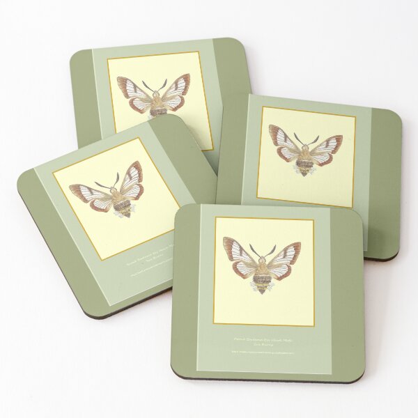 Item preview, Broad Bordered Bee Hawk Moth designed and sold by Sueburnsinsects.