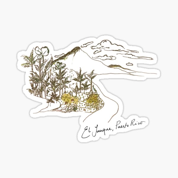 Aperçu de l'œuvre Forêt pluviale d'El Yunque, Porto Rico créée et vendue par shafreakydoodle.