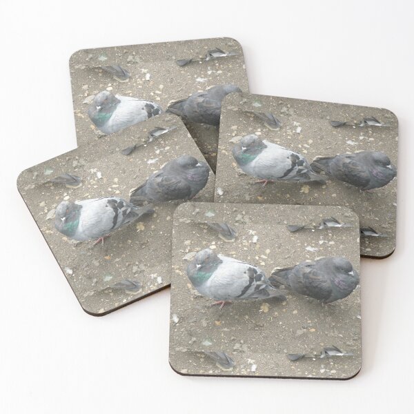 Item preview, Pigeon Pals Back to Back Photograph designed and sold by naturegallery.