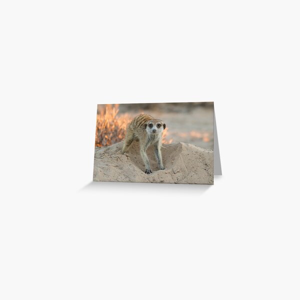 Digging in the sand Greeting Card