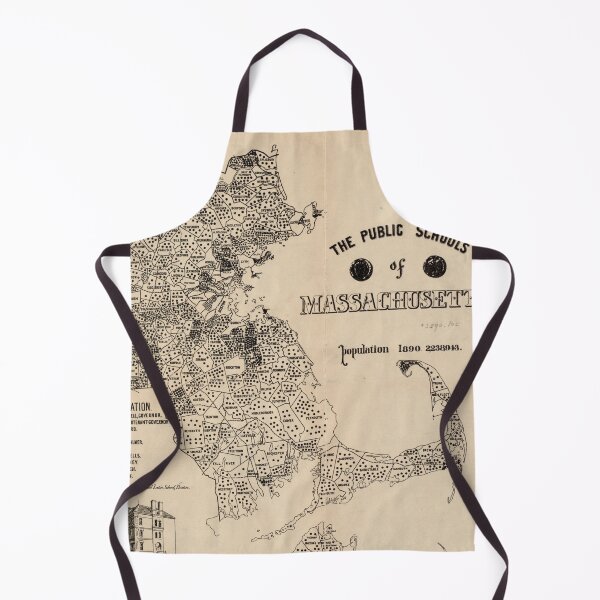 Item preview, Vintage Massachusetts Public Schools Map (1893) designed and sold by BravuraMedia.
