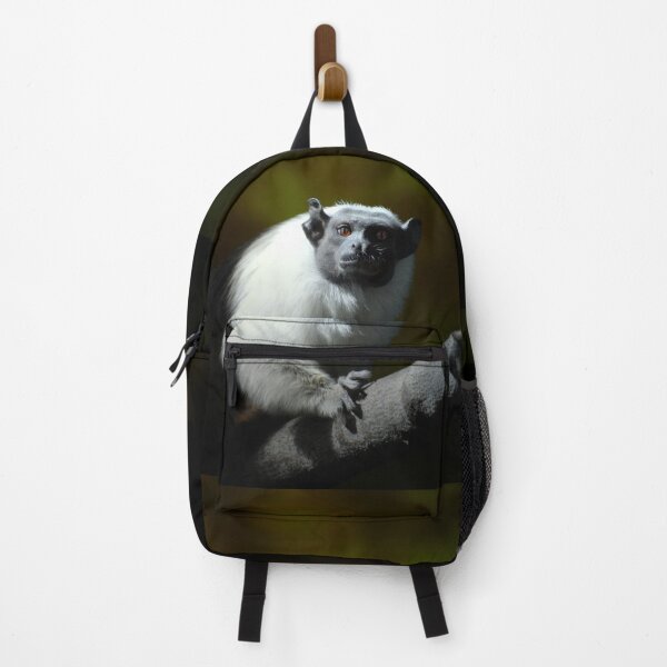 Item preview, Pied Tamarin designed and sold by Savannah Gibbs.