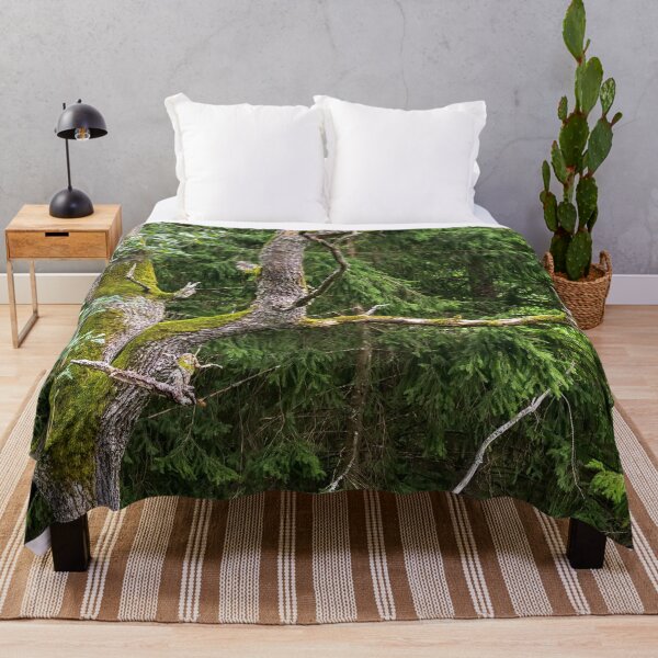 Item preview, Old mossy tree in a forest designed and sold by lena-maximova.