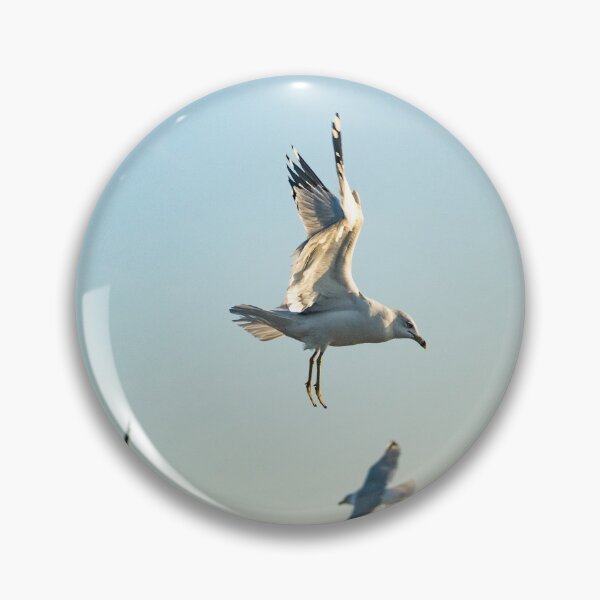 Item preview, Larus californicus 2 designed and sold by KensLensDesigns.