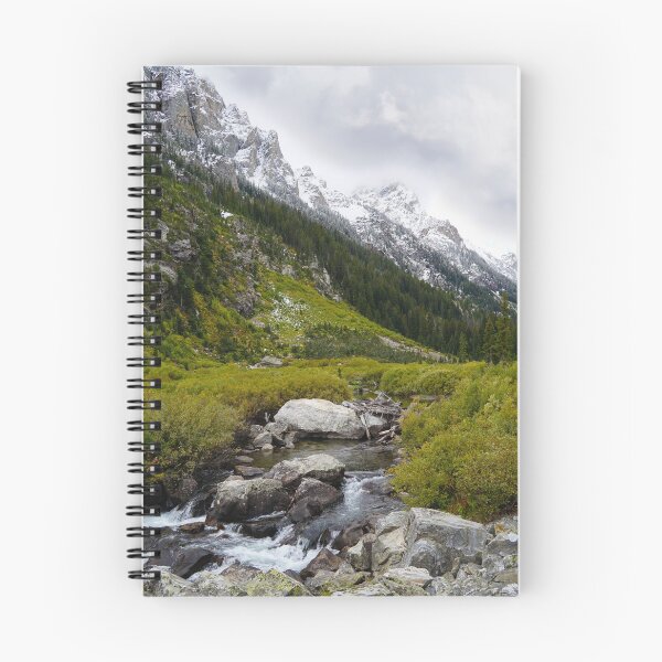 Item preview, A Stormy Day in Cascade Canyon designed and sold by MomentofPercep.