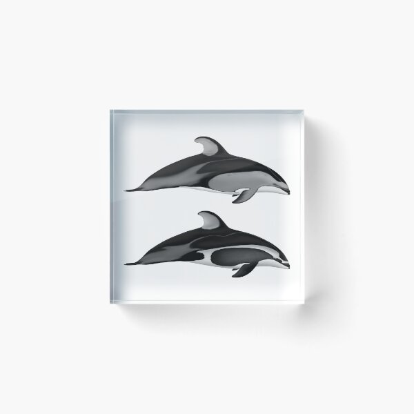 Item preview, Pacific White Sided Dolphins designed and sold by Selena Rivera.
