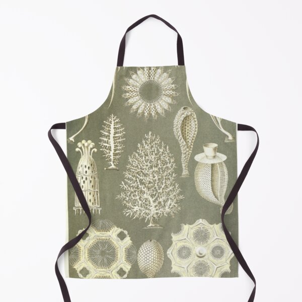 Item preview, Naturalist Sponges designed and sold by BlueSpecsStudio.