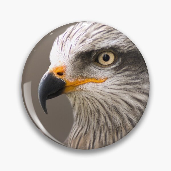 Item preview, eagle bird of prey designed and sold by Nikoleta Vukovic.
